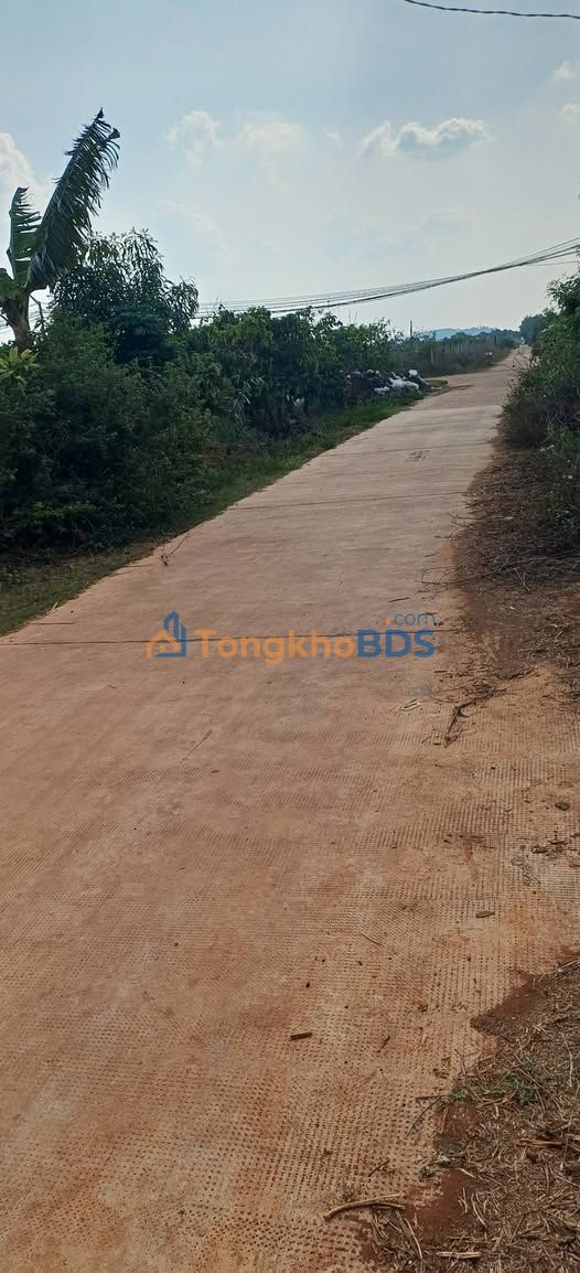 Đất nền Pleiku Trương Định 1552m² - Sổ đỏ chính chủ