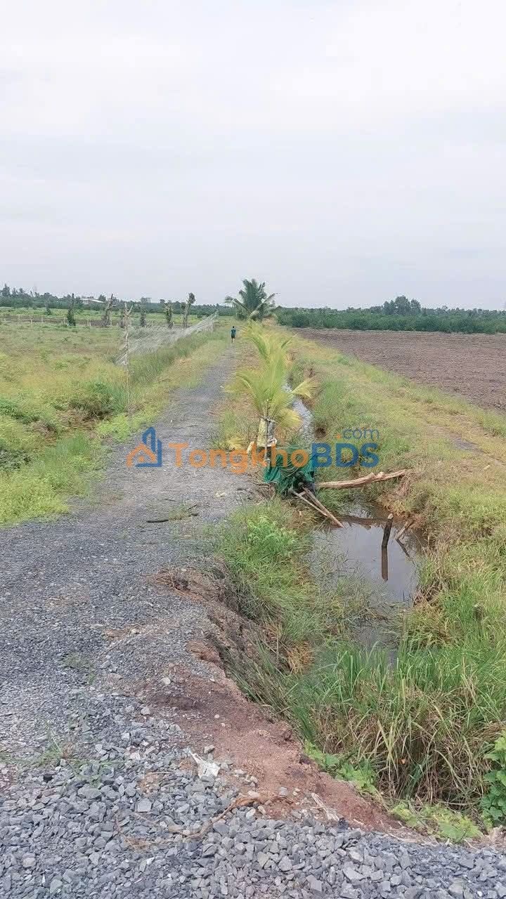 Đất vườn Thủ Thừa 1000m² 0.4-0.5 tỷ - Sổ đỏ chính chủ