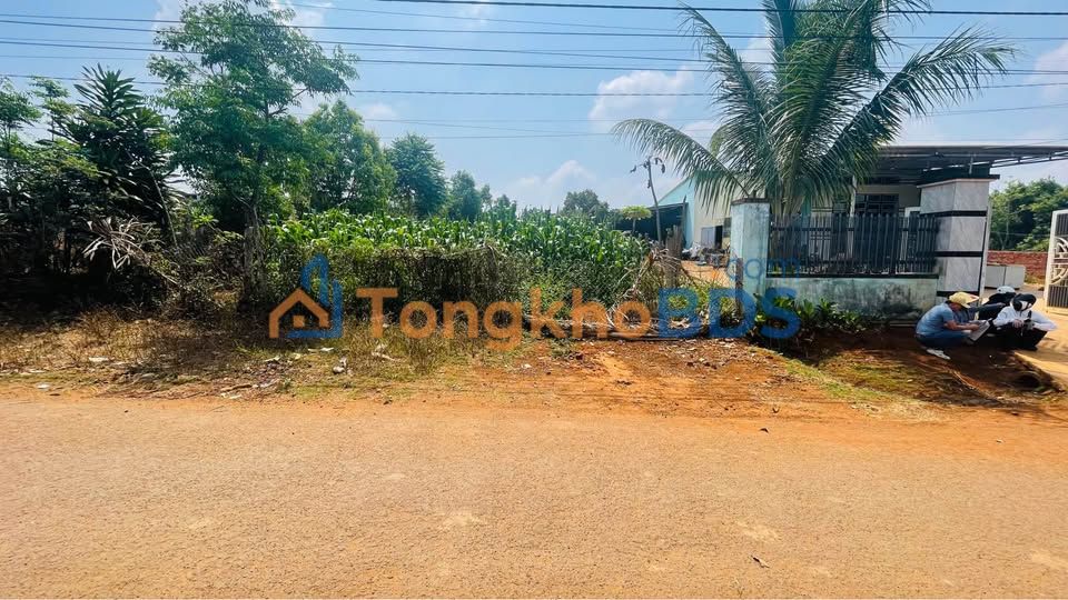 Đất nền Dã Tượng An Phú Pleiku 900m² 3.1 tỷ - Sổ đỏ