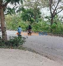 Đất phân lô Vĩnh Quỳnh Thanh Trì 53m² 6 tỷ - Sổ đỏ chính chủ