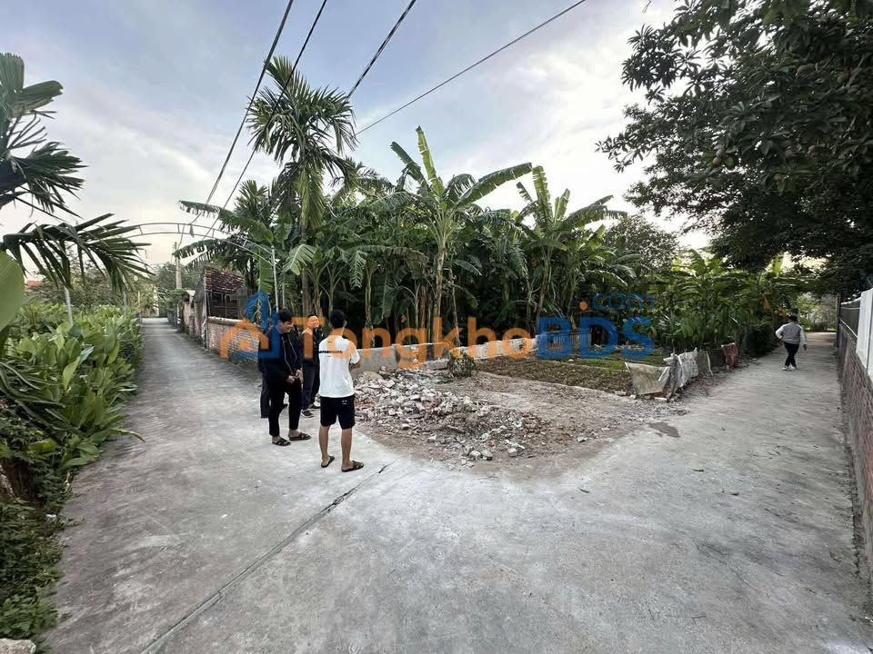 Đất nền Hợp Lý Hà Nam 65m2 vài trăm triệu - Xây dựng tự do