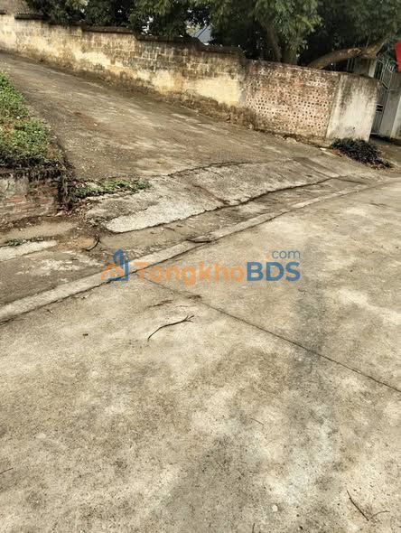 Đất Tòng Bạt Ba Vì 300m² giá thỏa thuận - Đất thổ cư 100%