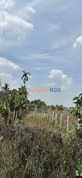 Đất nền Ea Tam Buôn Ma Thuột 125m² 0.79 tỷ - Pháp lý rõ ràng