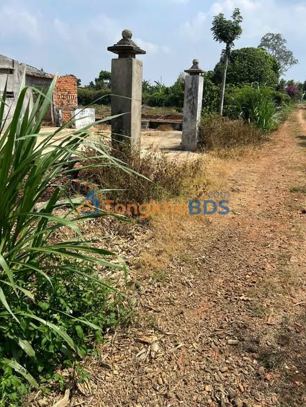 Đất nền Ea Na Krông Ana 1150m² 1.2 tỷ - Tiềm năng tăng giá