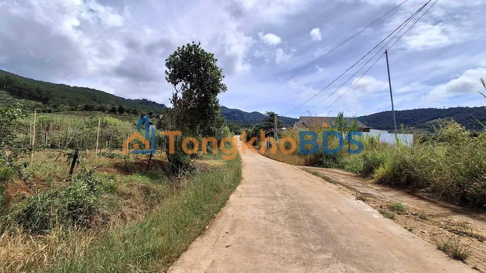 Đất nền Nam Ban Lâm Hà 103m² 540 triệu - Đất thổ cư 100%