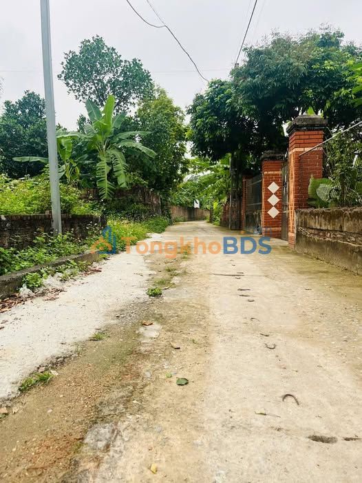 Đất nền Tân Minh Sóc Sơn 296m² - Vị trí đẹp