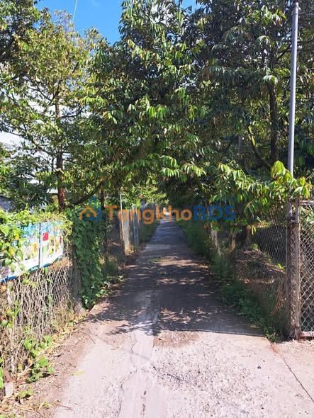 Đất vườn Quới Thành 2.228m² 2,116 tỷ - Nghỉ dưỡng lý tưởng