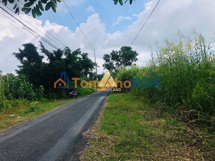 Đất trồng lúa Hồ Thị Kỷ 572m² 65tr/m ngang - Sổ đỏ