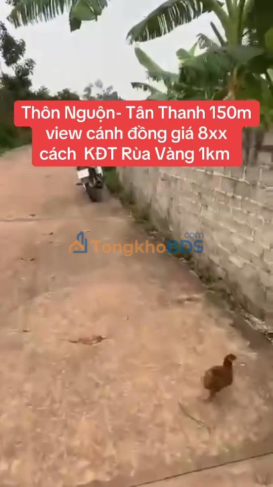 Đất nền Tân Thanh 150m² 800-899 triệu - Sổ đỏ chính chủ