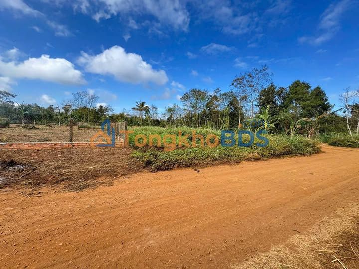 Đất Cuor Đăng Đắk Lắk 830m² giá 1,39 tỷ - Sổ đỏ chính chủ