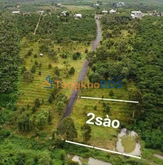 Đất Lộc An Thôn 5 2.000m² 1.5 tỷ - Đường ô tô vào