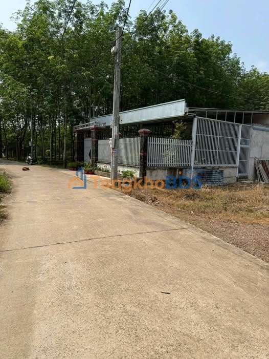 Đất nền Lai Uyên 175m² giá thỏa thuận - Đường ô tô 6m