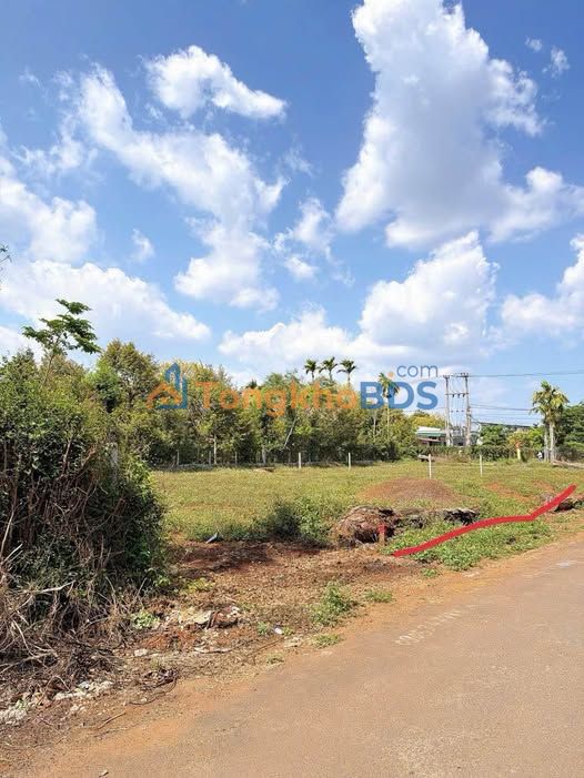 Đất Đạt Lý Tân An 130m² 1.329 tỷ - Sổ đỏ chính chủ