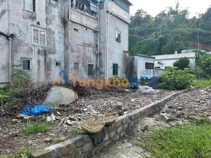 Đất Thuỵ Liễu Cẩm Khê 420m² 500 triệu - Sổ đỏ chính chủ