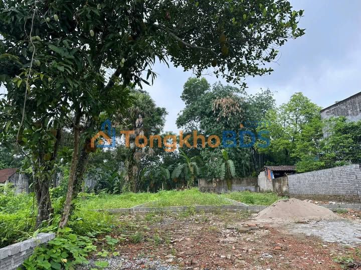 Đất nền Minh Xuân 110m² giá thỏa thuận - Thổ cư toàn bộ