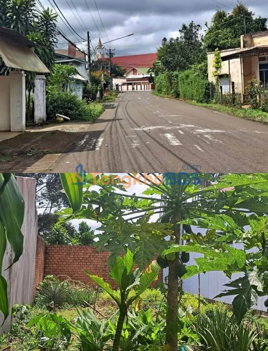 Đất nền Lộc Châu Bảo Lộc 161m² 2.15 tỷ - Sổ đỏ chính chủ