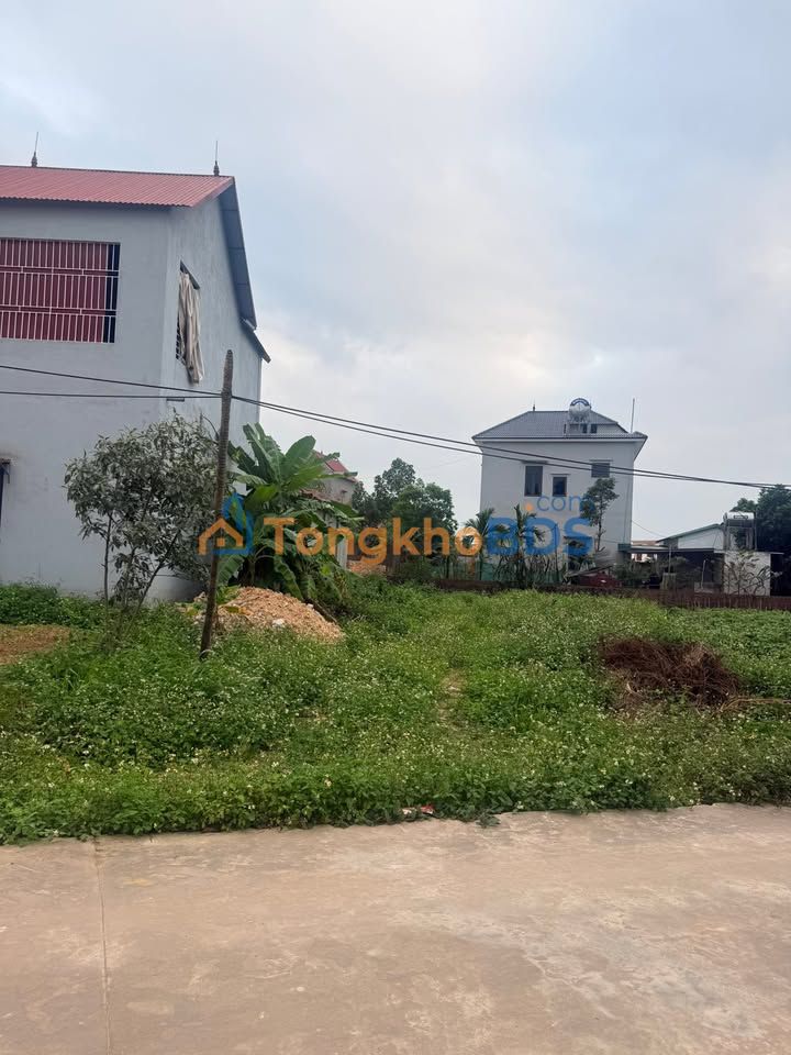 Đất nền Thôn Chùa Thái Đào 252m² 1 tỷ - Đường to ô tô