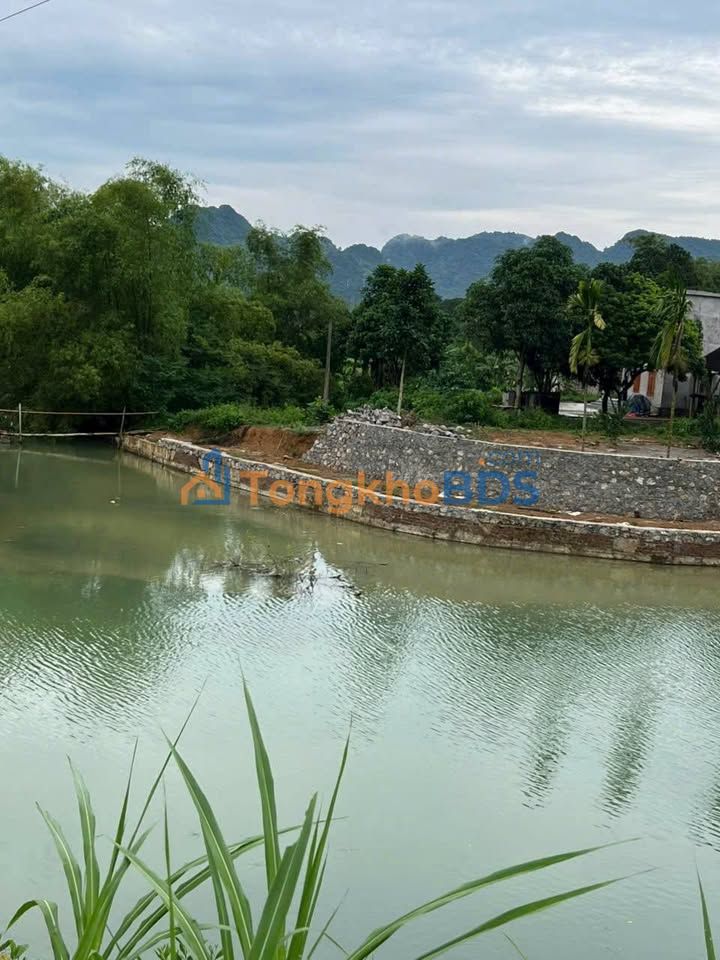 Đất nền Bảo Hiệu Yên Thủy 3.100m² 6 tỷ - Xây dựng tự do