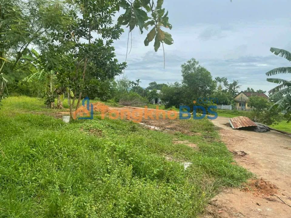 Đất nền Thu Bồn Hòa Vang 430m² 7xx triệu - Đường to ô tô