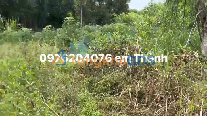 Đất nền Bình Định Thăng Bình 885m² 0.7 tỷ - Sổ đỏ chính chủ