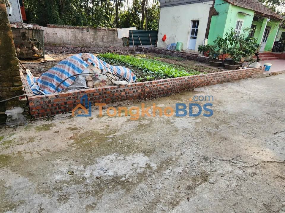 Đất Phúc Hòa Phúc Thọ 101m² giá thỏa thuận - Xây dựng tự do