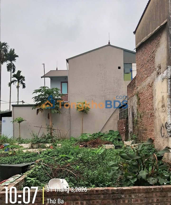 Đất nền Gia Lâm 41m² giá 3 tỷ - Đường lớn ô tô vào