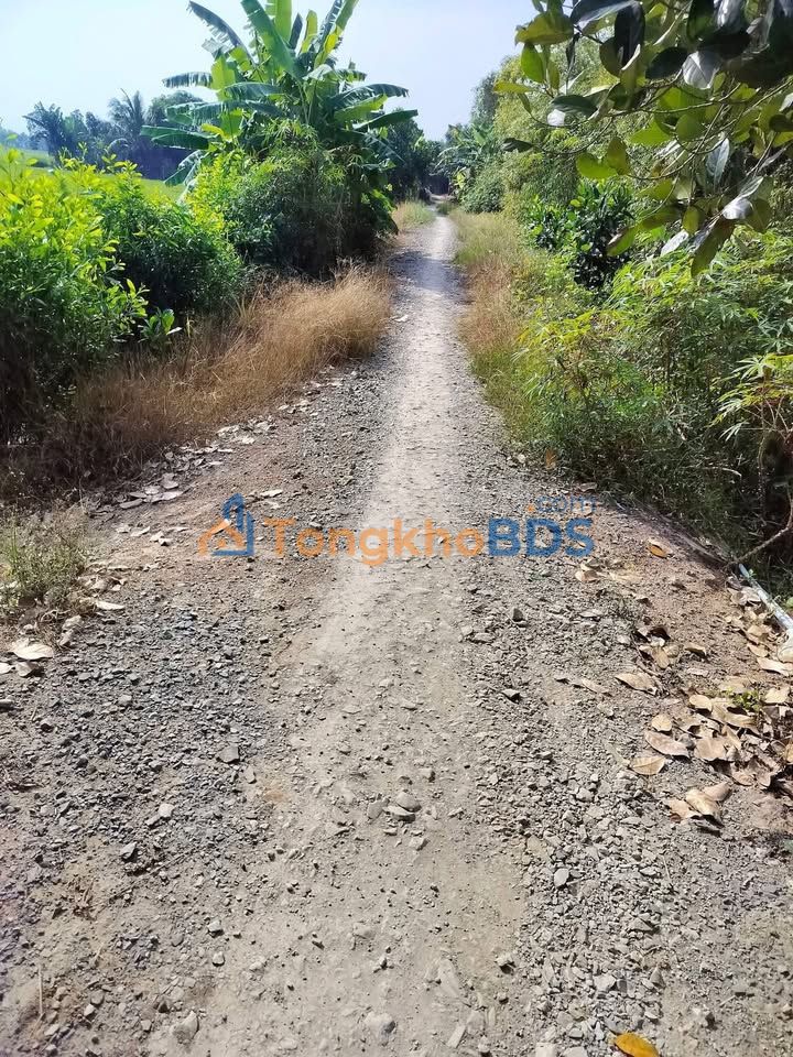 Đất ruộng Tân Hòa Tây 15.600m² 205 triệu - Tiềm năng tăng giá