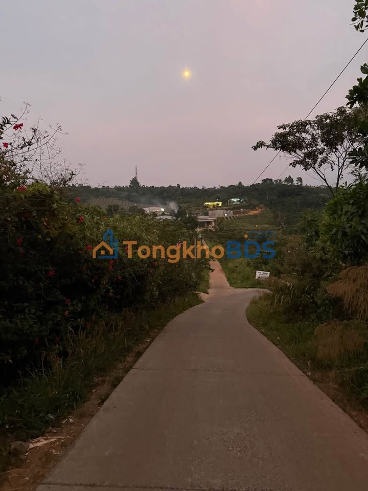 Đất nền Gia Nghĩa 394m² 1.2 tỷ - Đất thổ cư 100%