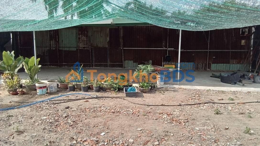 Kho xưởng Xuân Thới Thượng 400m² 6 triệu - Xe tải vào được