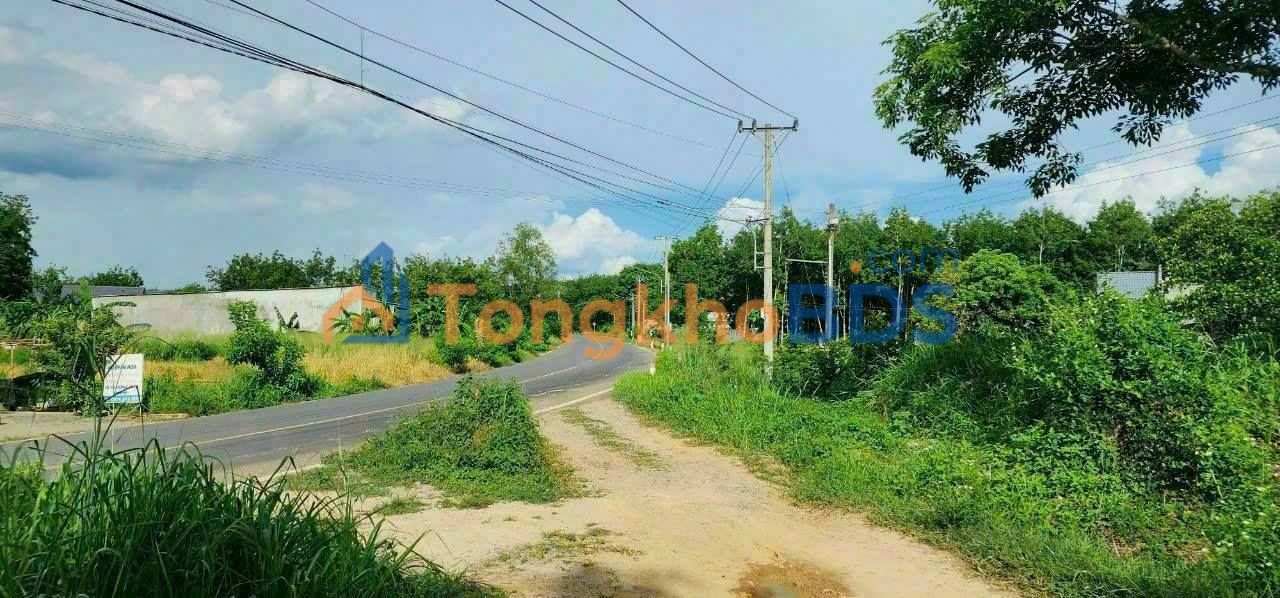 Đất Phước Hòa Phú Giáo 35.899m² 70 tỷ - Sổ đỏ chính chủ nên giữ ngay