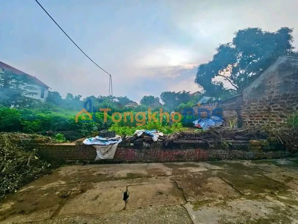 Đất nền Thôn Đông Hạ 99m² giá 3 tỷ - Sổ đỏ chính chủ