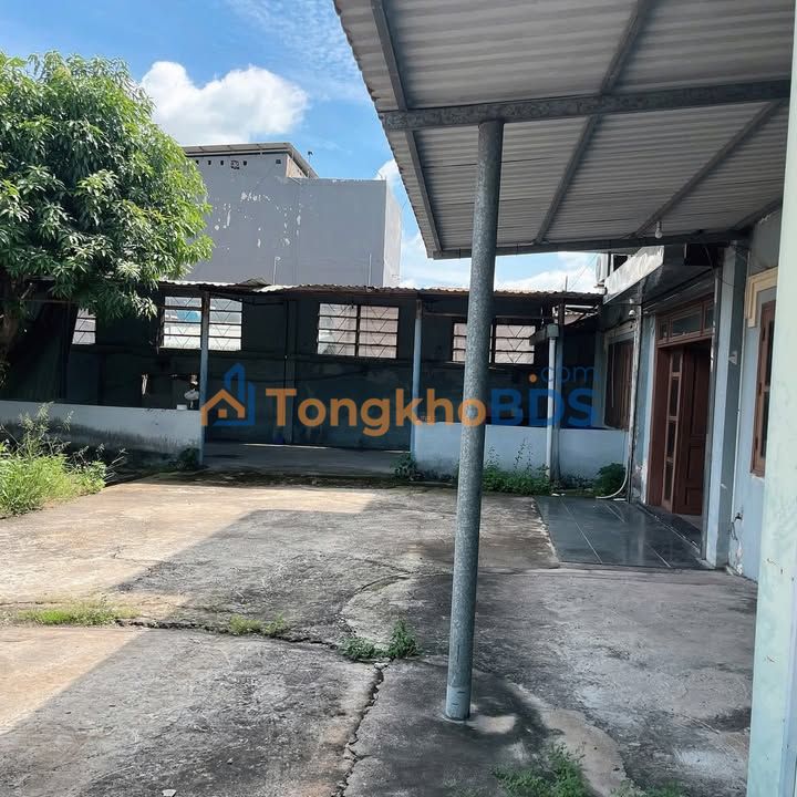 Warehouse Binh Chanh Thanh Nien 1310m2 19.65 ty - Hoat dong ngay