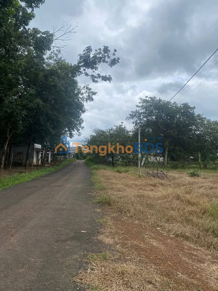 Đất nền Ấp Thanh Tâm, Thanh Bình 900m²/460 triệu - Rộng cho ô tô