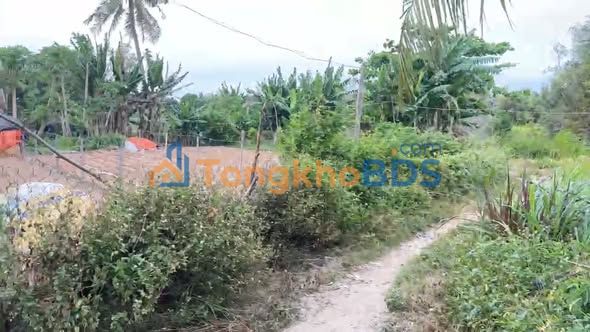 Đất Trần Thị Có Buôn Ma Thuột 131m² - Đường to ô tô