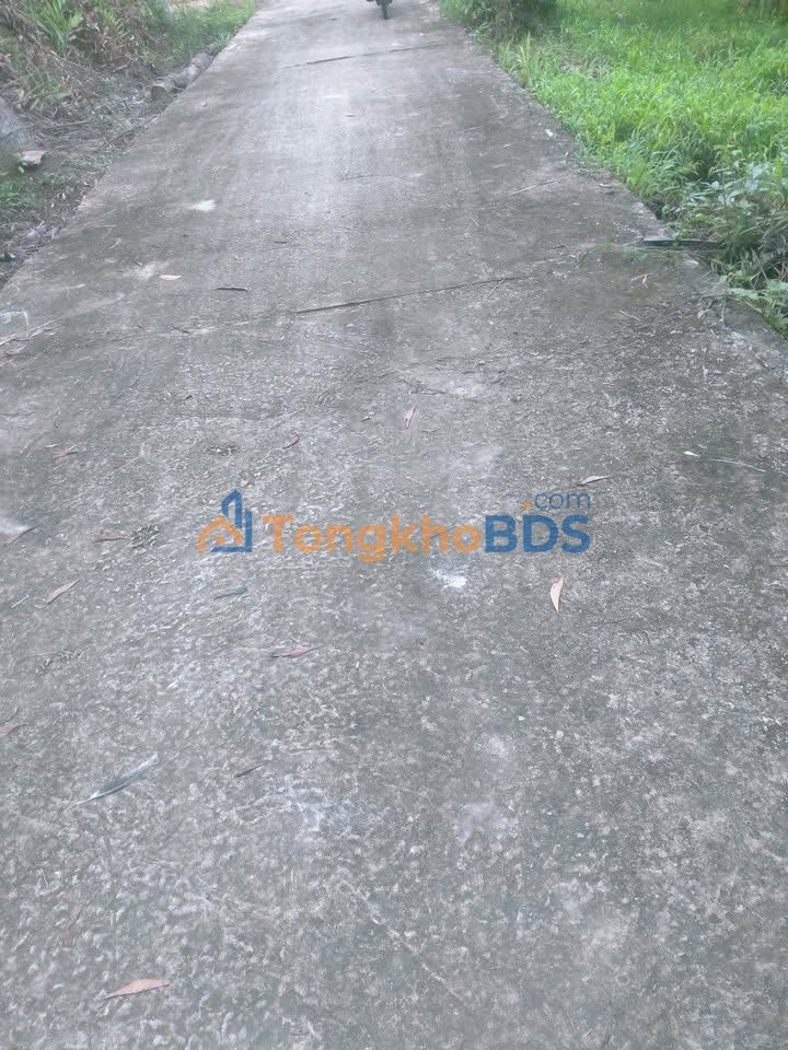 Đất nền Bình Phú Hồng Bàng 1,4 tỷ/1400m² - Tiềm năng tăng giá