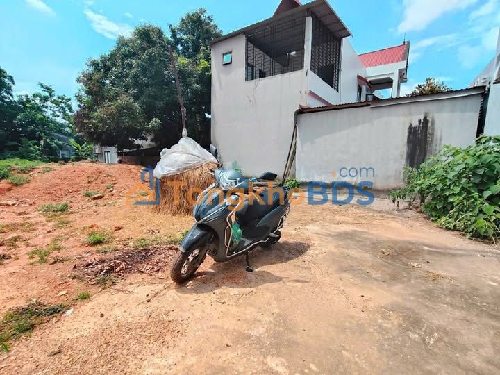 Đất nền Dộc Sậu Tam Dương 208m² 7xx triệu - Sổ đỏ chính chủ