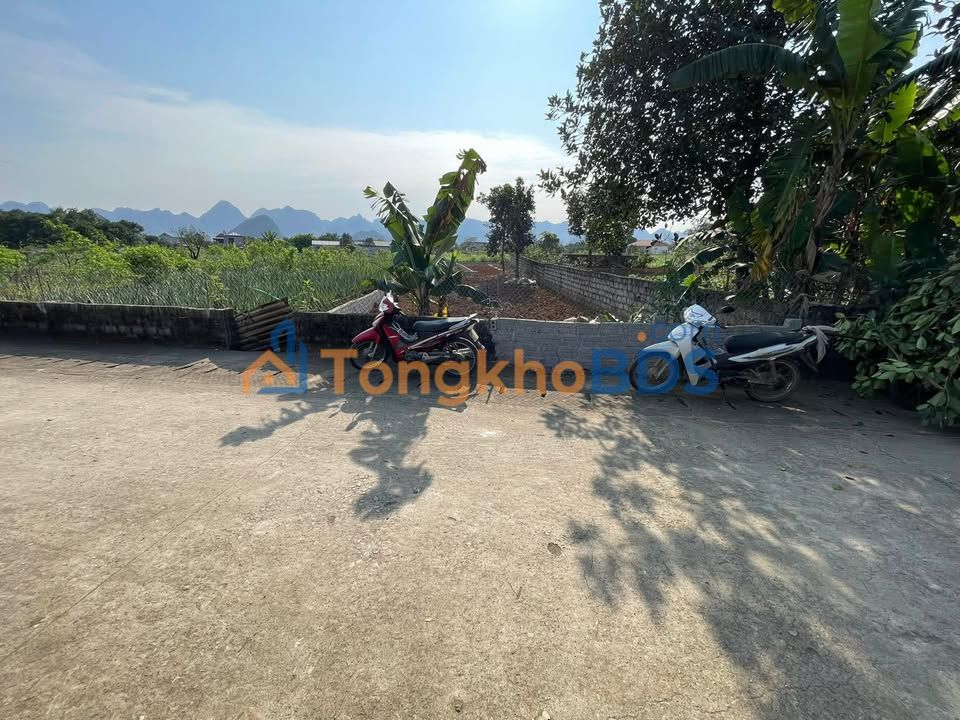 Đất vườn Đông Sơn 240m² thỏa thuận - Đầu tư dài hạn