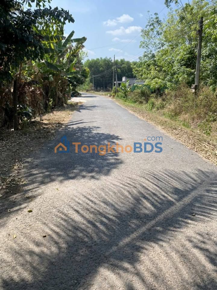 Đất nền Biên Hòa 270m² 650 triệu - Sổ đỏ chính chủ giá tốt