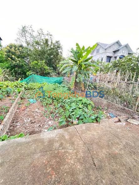 Đất Thuận An Gia Lâm 41m² 2.0005 tỷ - Sổ đỏ chính chủ