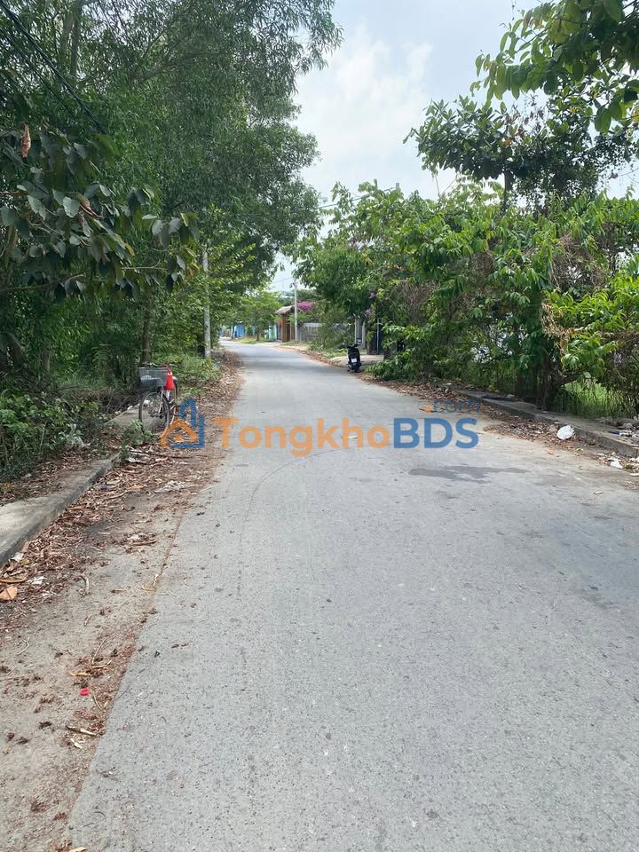 Đất vườn Tân Quý Tây Bình Chánh 4.500m² 27 tỷ - Sổ đỏ chính chủ