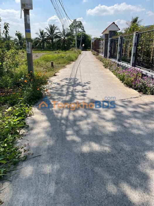 Đất nền Tân An 537m² 900 triệu - Đường to ô tô