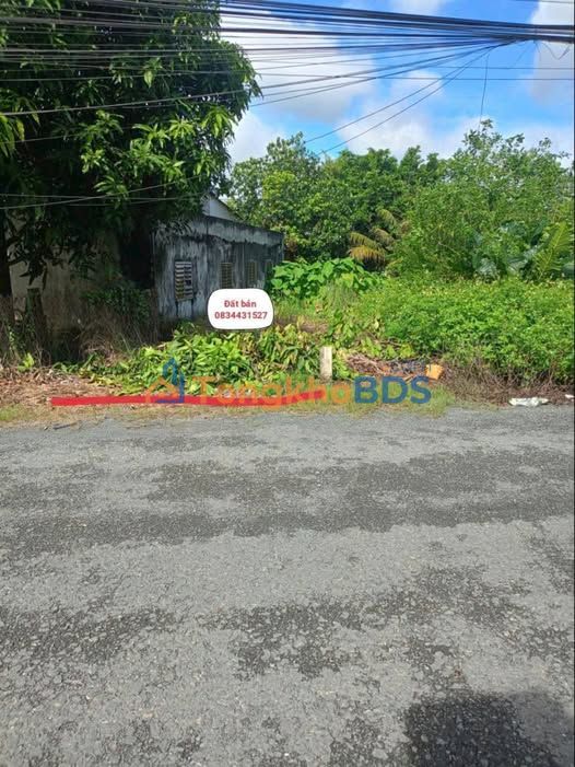 Đất nền Tân An Long An 111m² 2,25 tỷ - Sổ đỏ chính chủ