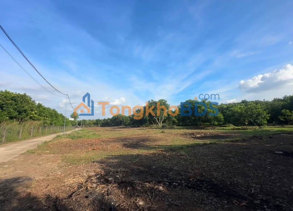 Đất sào Suối Tre Long Khánh 542m² 750tr - Sổ đỏ sẵn