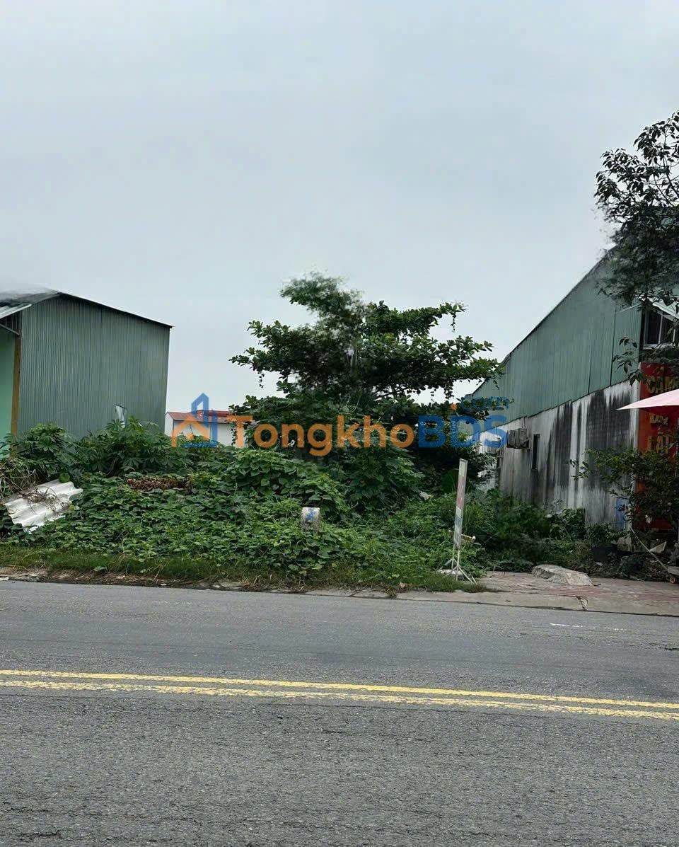 Đất Nguyễn Trung Trực Bến Lức 233m² 5 tỷ - Sổ đỏ chính chủ