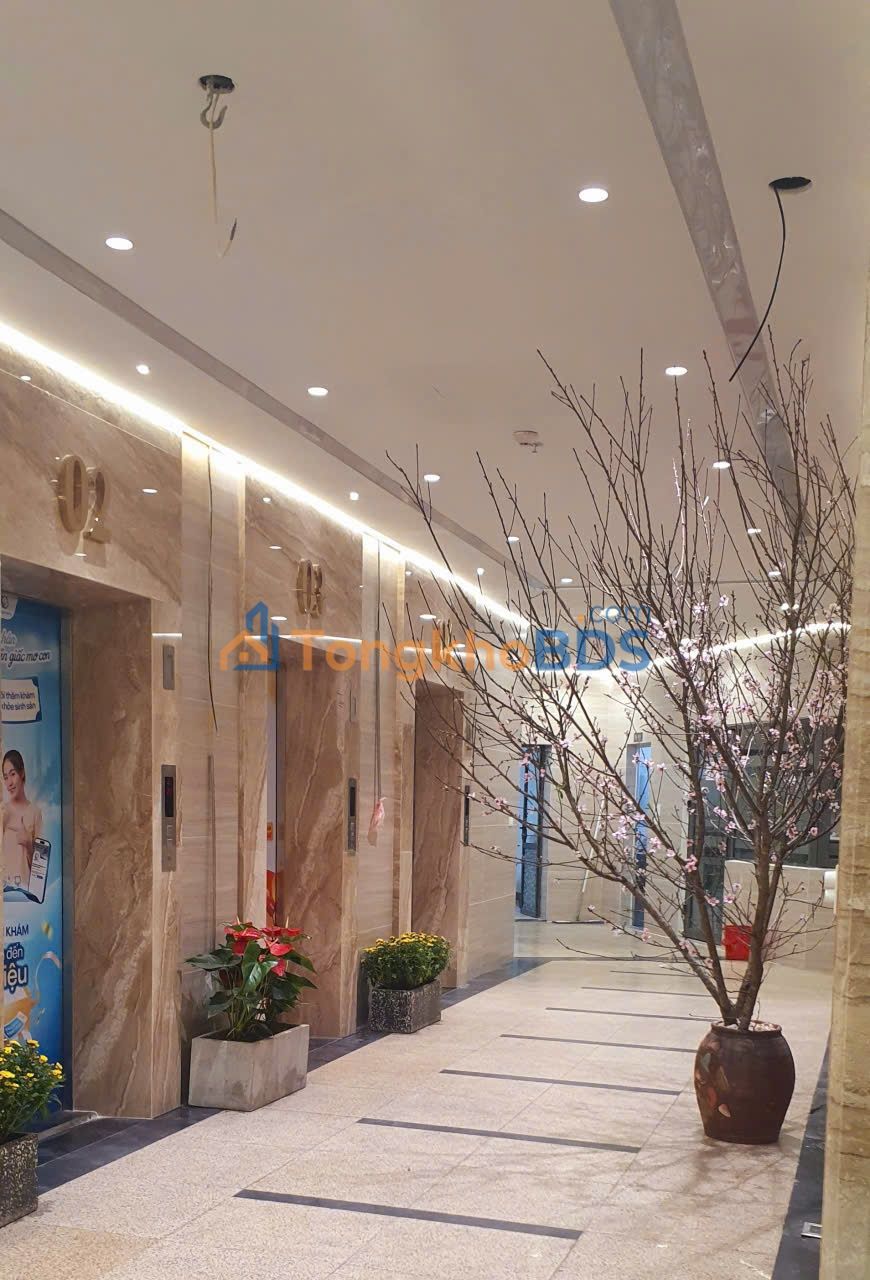 Căn hộ CT3 HUD3 Linh Đàm 57.6m² 5,35 tỷ - View đẹp