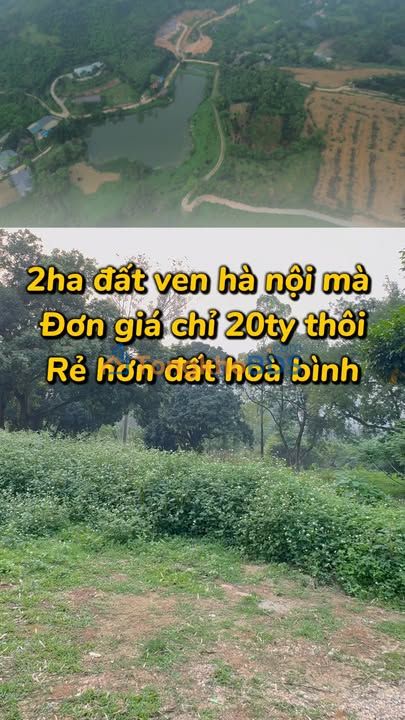 Đất nền Thủy Xuân Tiên Chương Mỹ 2ha - Sổ đỏ chính chủ