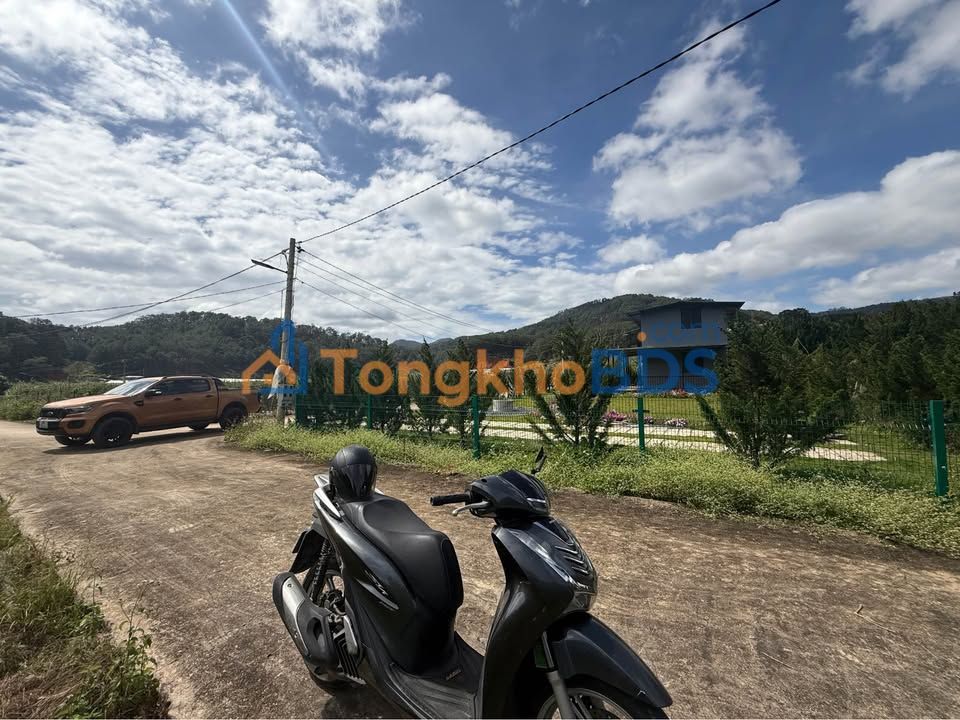 Đất view rừng Xuân Hương Đà Lạt 500m² 2.6 tỷ - Đường ô tô