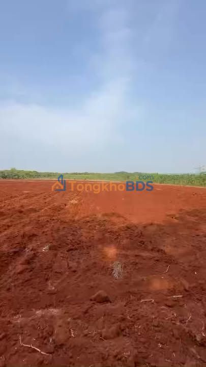 Đất nền Long Bình Phú Riềng 2.000m² 3 tỷ - Đường to ô tô