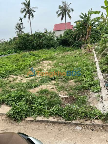 Đất nền An Thái An Lão 88m² 1 tỷ - Xây dựng tự do