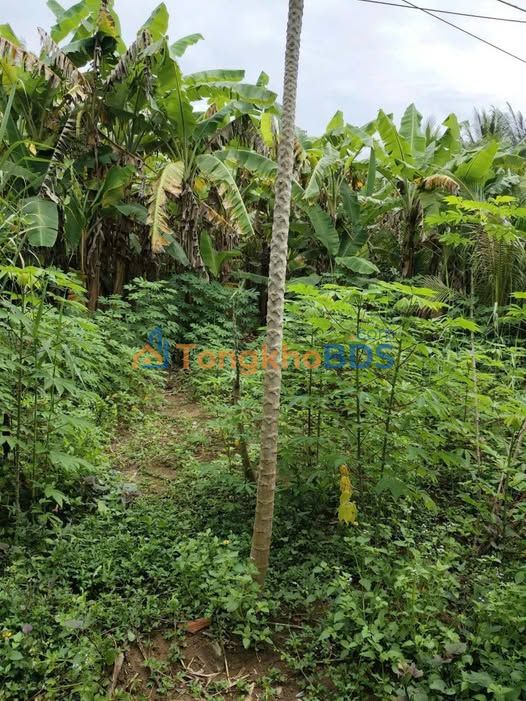 Đất nền Thành An Bến Tre 527m² 600 triệu - Sổ đỏ chính chủ